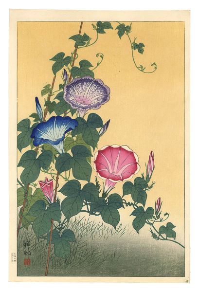 Ohara Koson(Shoson) “Morning-Glory in Full Bloom ”