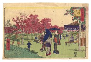 広重初代「江戸名所　浅草奥山花やしき」