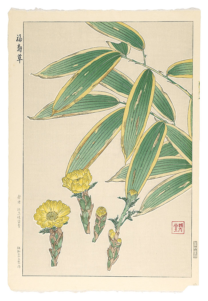 河原崎奨堂「福寿草」