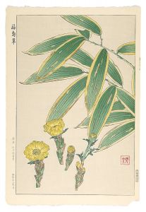 河原崎奨堂「福寿草」