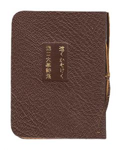 Far Away in the Flesh  Horiguchi Daigaku Poetry Collection