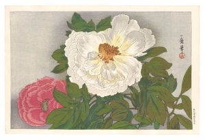 Oda Kazuma / Peony