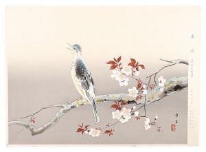 Kodama Kibo / Spring sunny