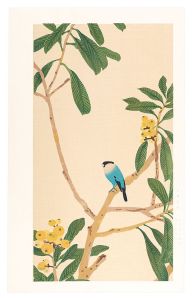 Imamura Shiko / Loquat and Java Sparrow