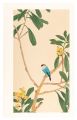 Loquat and Java Sparrow