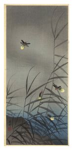 Ohara Koson(Shoson) / Fireflies