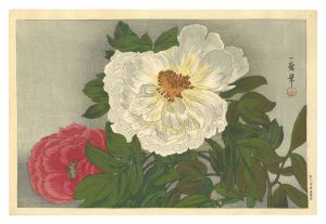 Oda Kazuma / Peony