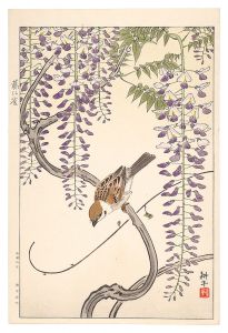 Ono Shigeyuki / Sparrow and Wisteria