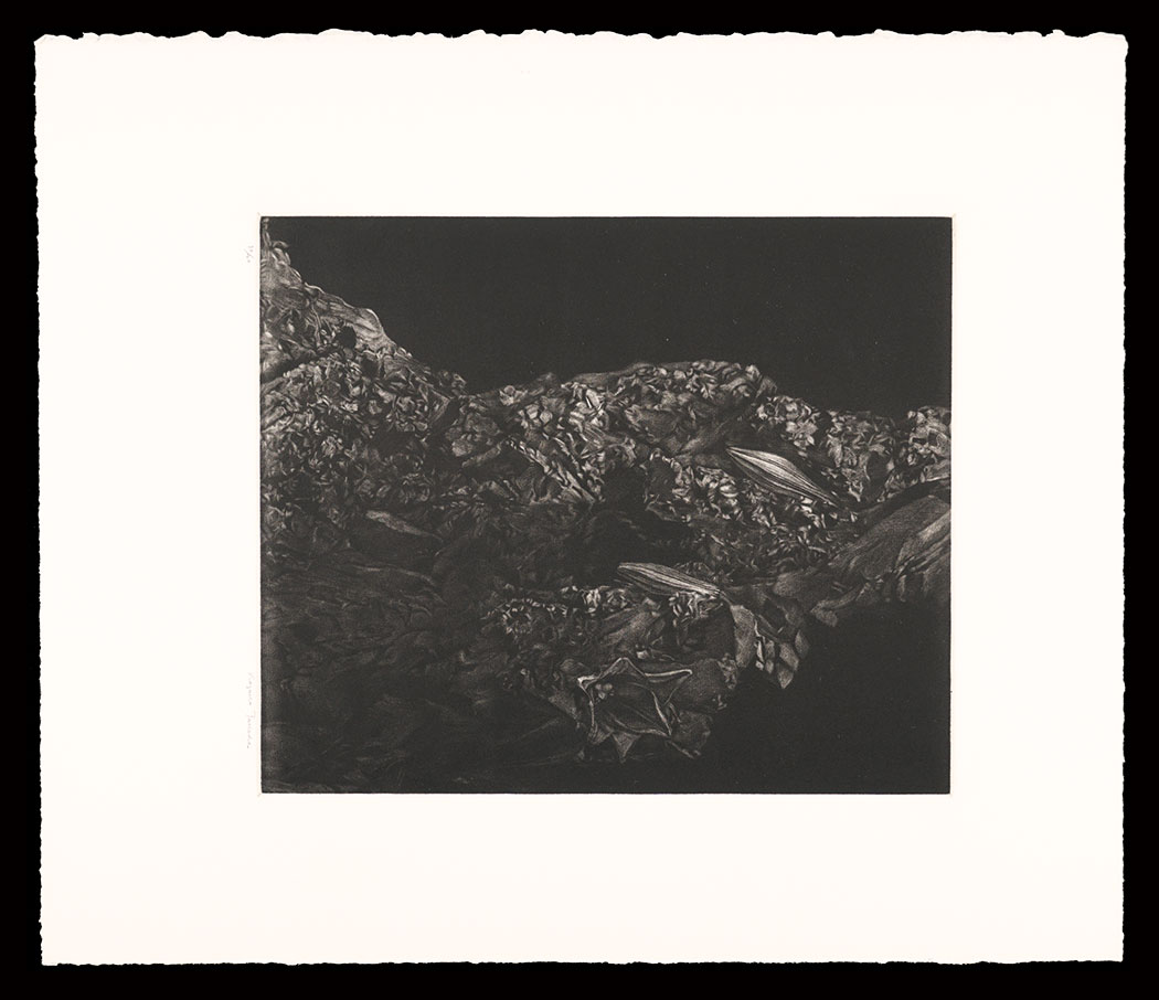 Takeda Kazuko “Title unknown”