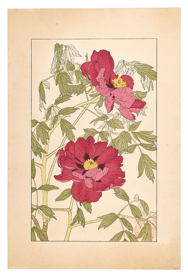 Sugiura Hisui “Peony”