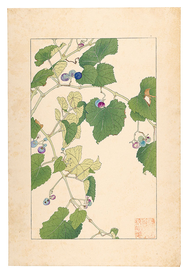 Sugiura Hisui “Wild Vine”