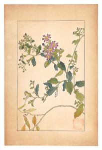 杉浦非水「紺菊」