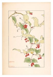 杉浦非水「猿取茨」