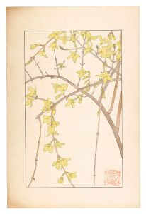 杉浦非水「連翹」