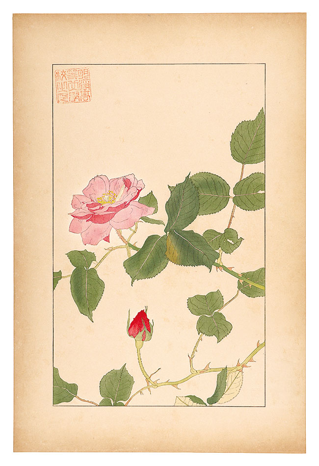 杉浦非水「薔薇」