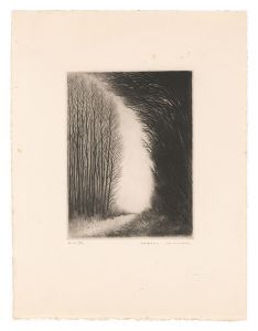 Kimura Shigeru / Trail