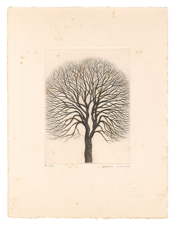 Kimura Shigeru “Zelkova”