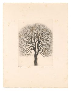 Kimura Shigeru / Zelkova