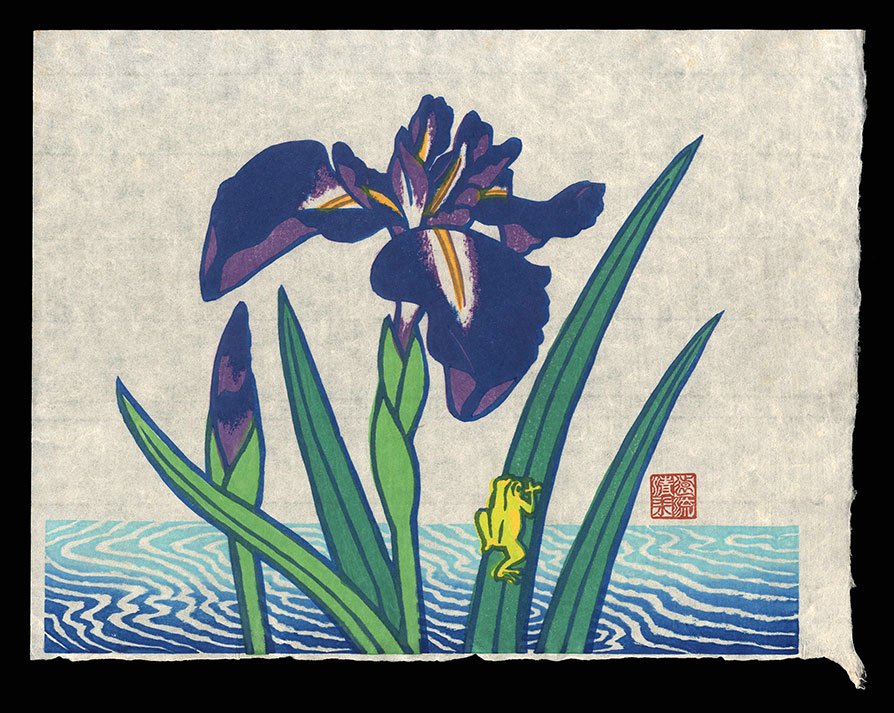 Shimizu Toru “Iris and a Frog　(tentative title)”