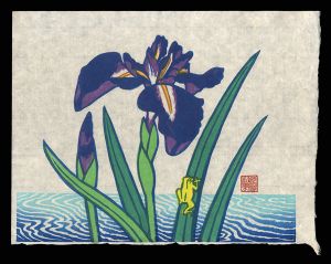 Shimizu Toru / Iris and a Frog　(tentative title)