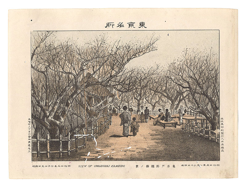 渡邊忠久「東京名所　亀井戸臥龍梅ノ景」