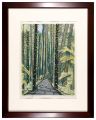 Mount Haguro (Cedar Mountain T......