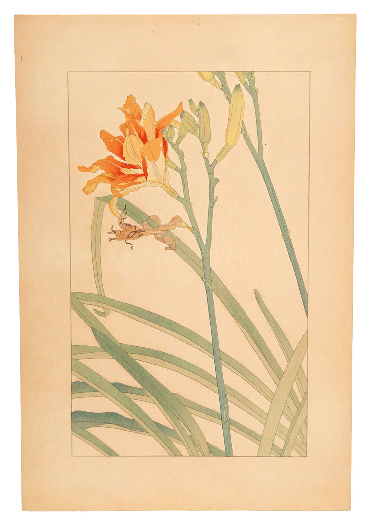 Sugiura Hisui “Day Lily”