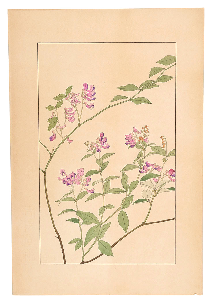 Sugiura Hisui “Two-leaf vetch”