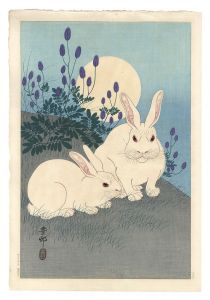 月に兎