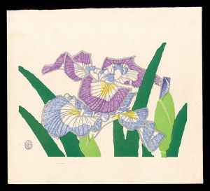Unknown / Iris(tentative title)