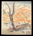 Hiyoshisankyo 