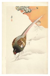 雪中の雉（仮題）