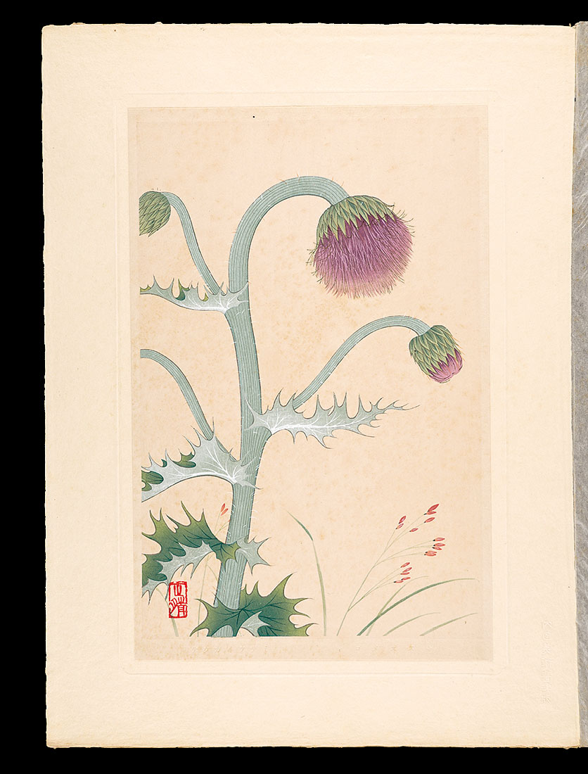 Inoue Masaharu “Japanese Alpine Plants / Avenella flexuosa and Japanese thistle”