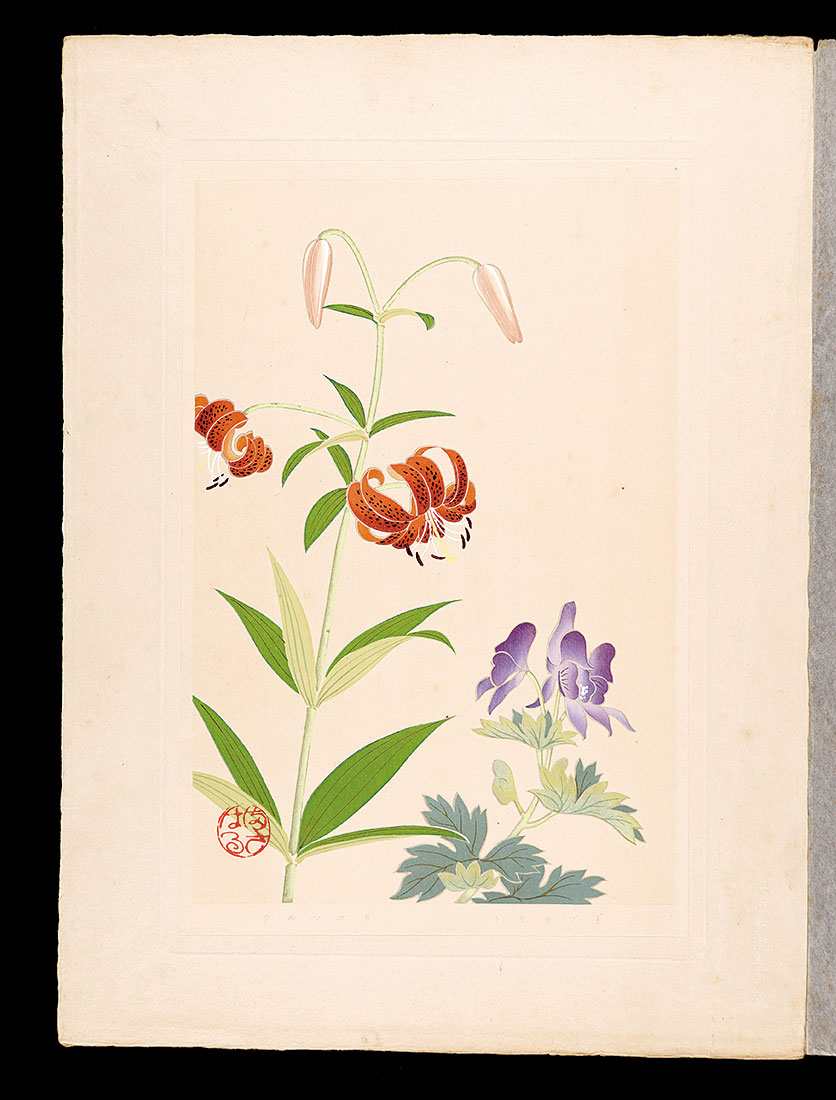 Inoue Masaharu “Japanese Alpine Plants / Chinese aconite and Wheel lily”