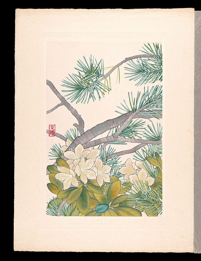 Inoue Masaharu “Japanese Alpine Plants / Yellow-flowered rhododendron”