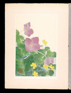 Inoue Masaharu / Japanese Alpine Plants / Twoflower violet and Glaucidium palmatum