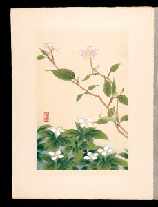 Inoue Masaharu / Japanese Alpine Plants / Japanese alpine cherry and Bunchberry