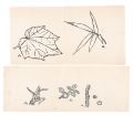Drawings