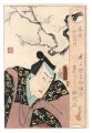 Fujiya Izaemon