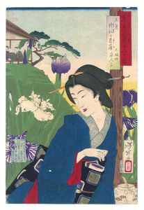 Twelve Months with the Pride of Tokyo / The Fifth Month: Iris at Horikiri