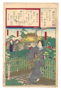 潤色三十六花撰　猿丸太夫