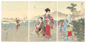 周延「十二ヶ月の内　卯月」