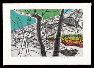 Yanagisawa Noriko / Thirty-six Views of Mt. Fuji in the HEISEI period / From Nishi-Usuzuka