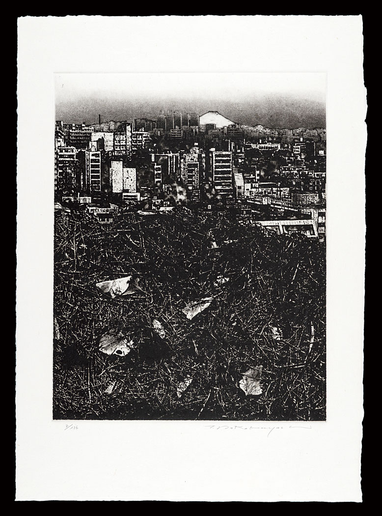 Nakabayashi Tadayoshi “Thirty-six Views of Mt. Fuji in the HEISEI period / Dislocation '91 -Earth- Fugaku”