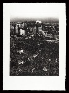 Nakabayashi Tadayoshi / Thirty-six Views of Mt. Fuji in the HEISEI period / Dislocation '91 -Earth- Fugaku
