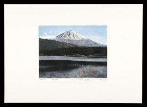 Okamoto Shogo / Thirty-six Views of Mt. Fuji in the HEISEI period / Lake Saiko