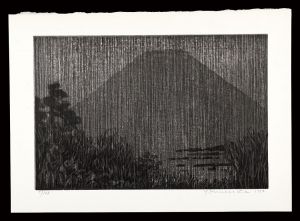 Funasaka Yoshisuke / Thirty-six Views of Mt. Fuji in the HEISEI period / Mount Fuji in the Dark Seen from Minami-Ashigara Pass