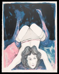 Ikeda Masuo / The portfolio Mixed fruit / Strawberry