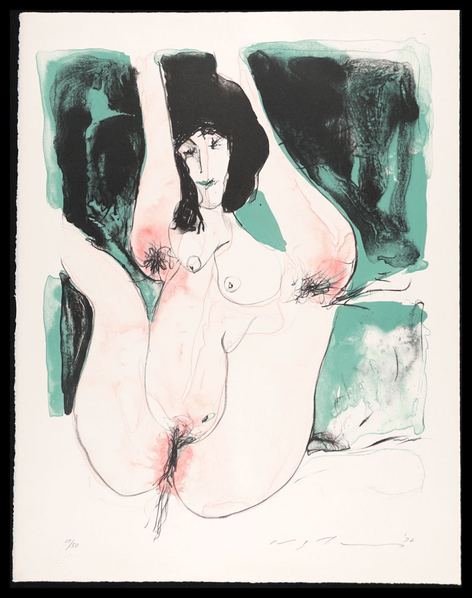 Ikeda Masuo “The portfolio Mixed fruit / Watermelon”