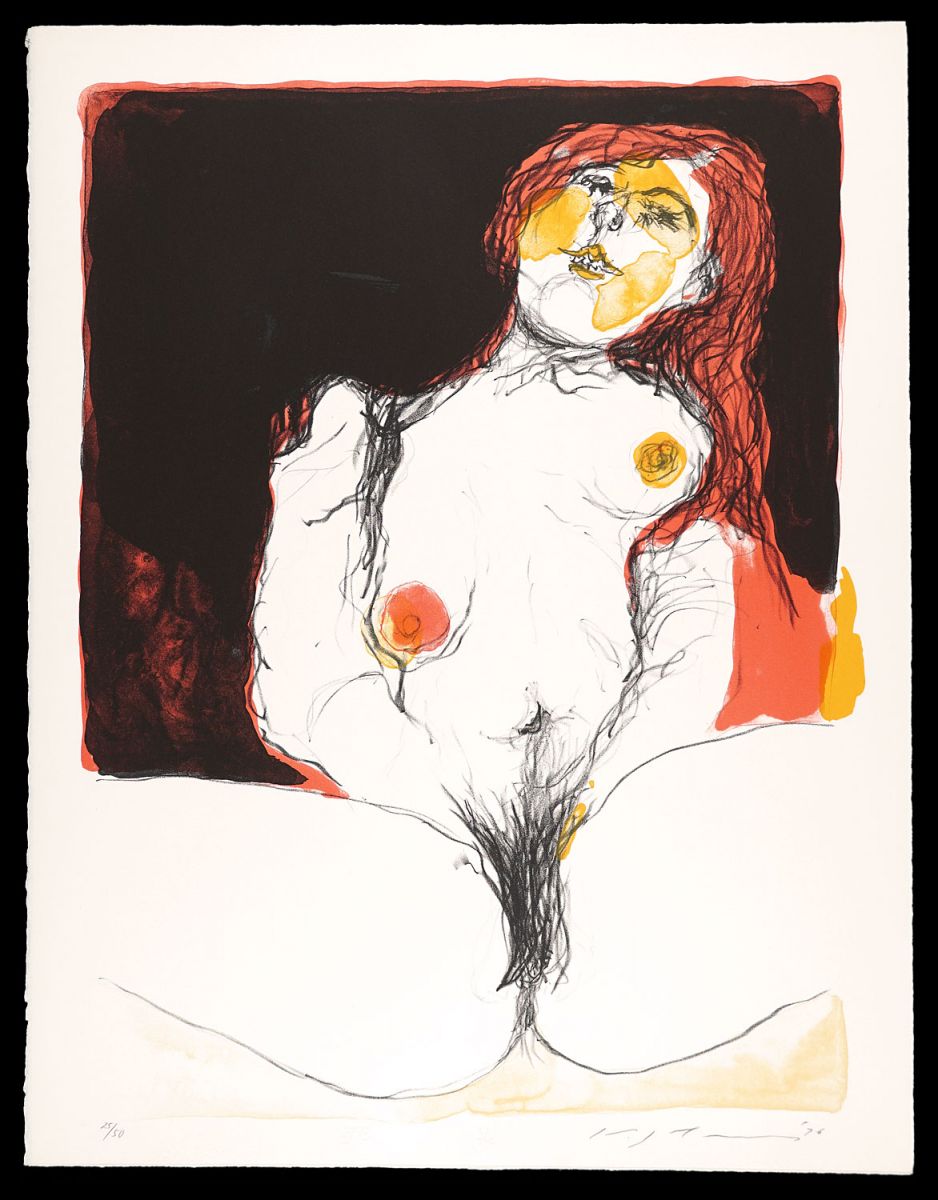 Ikeda Masuo “The portfolio Mixed fruit / Apple”